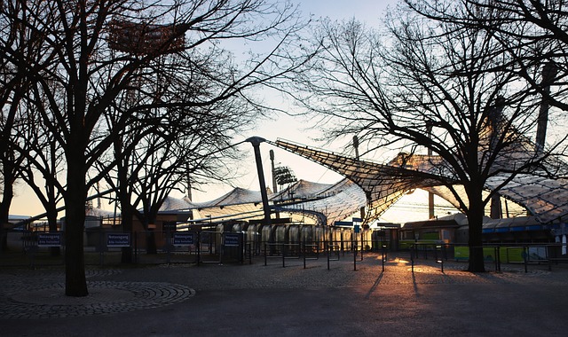 同时还贡献 同时还贡献