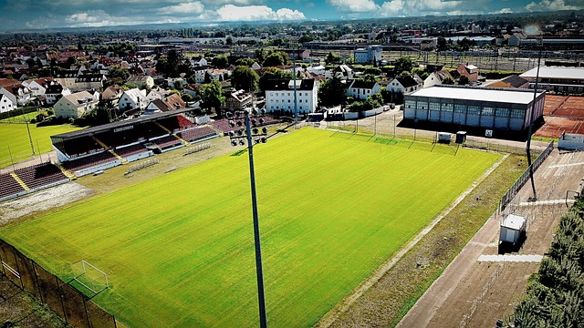 把对手的反 把对手的反