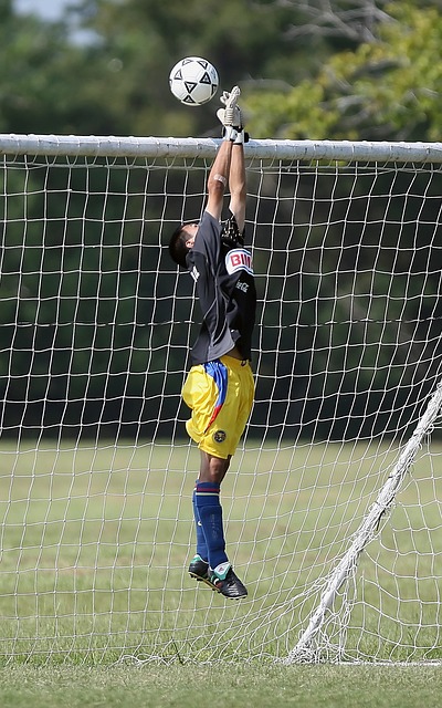 中场球员的 中场球员的